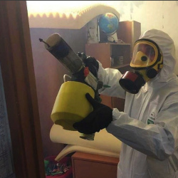 Уничтожение клопов в квартире. Белоомут